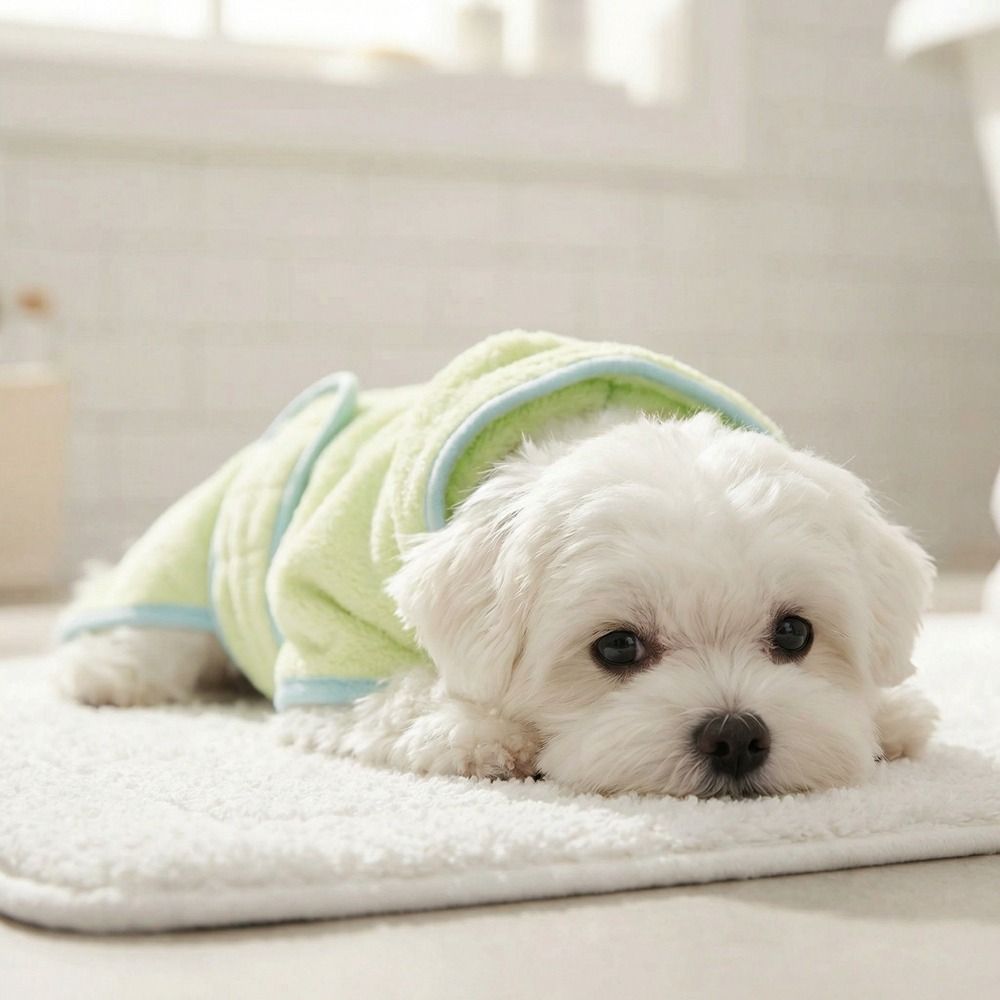 Super Absorbent Dog Hooded Bat - Hooded Bath Towel recension och pris